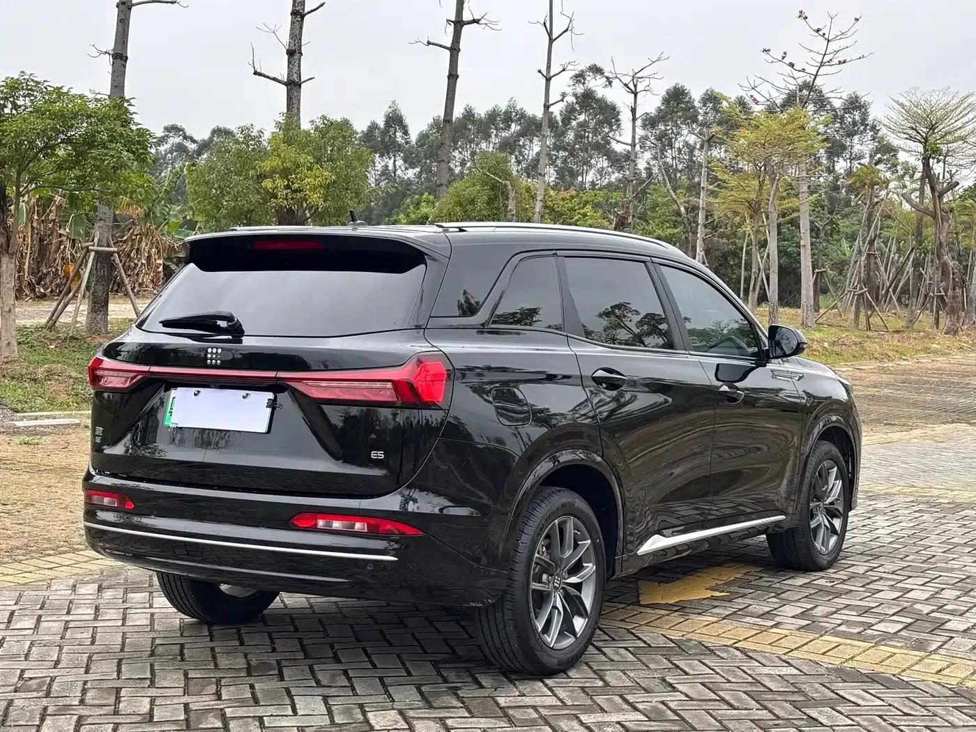 Blue Electric E5 2024 Glory Edition 100KM Enjoyment Model 7-Seater — миниатюра 6