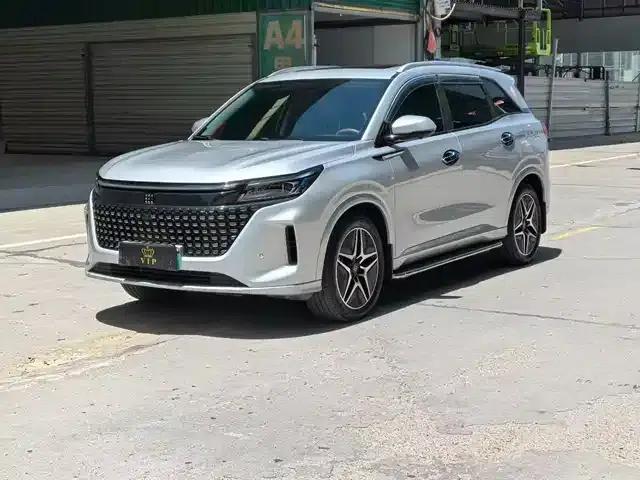 Blue Electric E5 2024 Glory Edition 100KM Premium 7-Seater