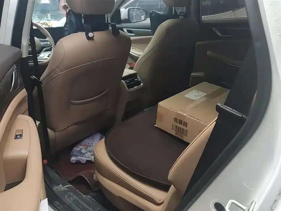 Blue Electric E5 2024 Glory Edition 100KM Premium 7-Seater — миниатюра 11