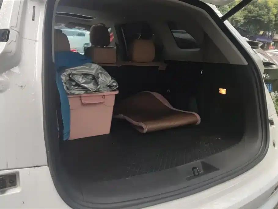 Blue Electric E5 2024 Glory Edition 100KM Premium 7-Seater — миниатюра 4
