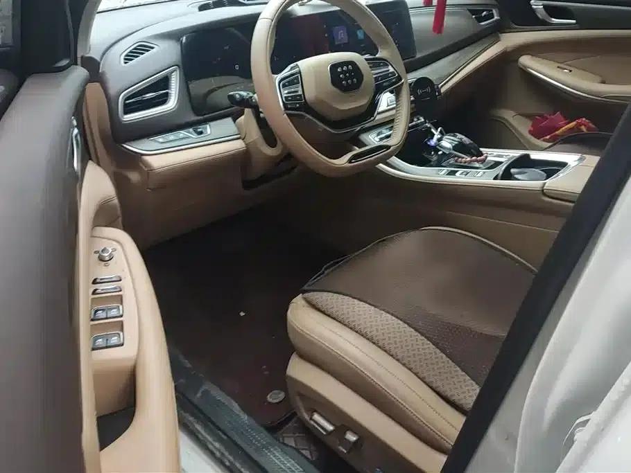 Blue Electric E5 2024 Glory Edition 100KM Premium 7-Seater — миниатюра 9