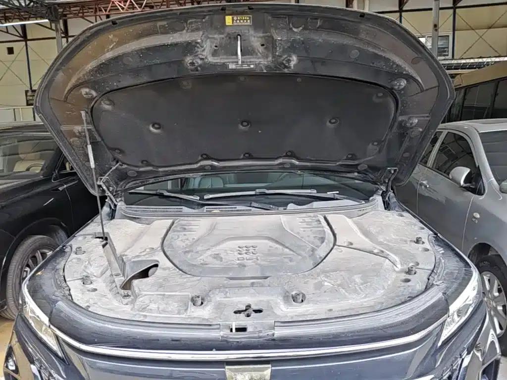 Blue Electric E5 2023 Model 1.5L DE-i 100KM Enjoyable Edition 7-Seater — миниатюра 20