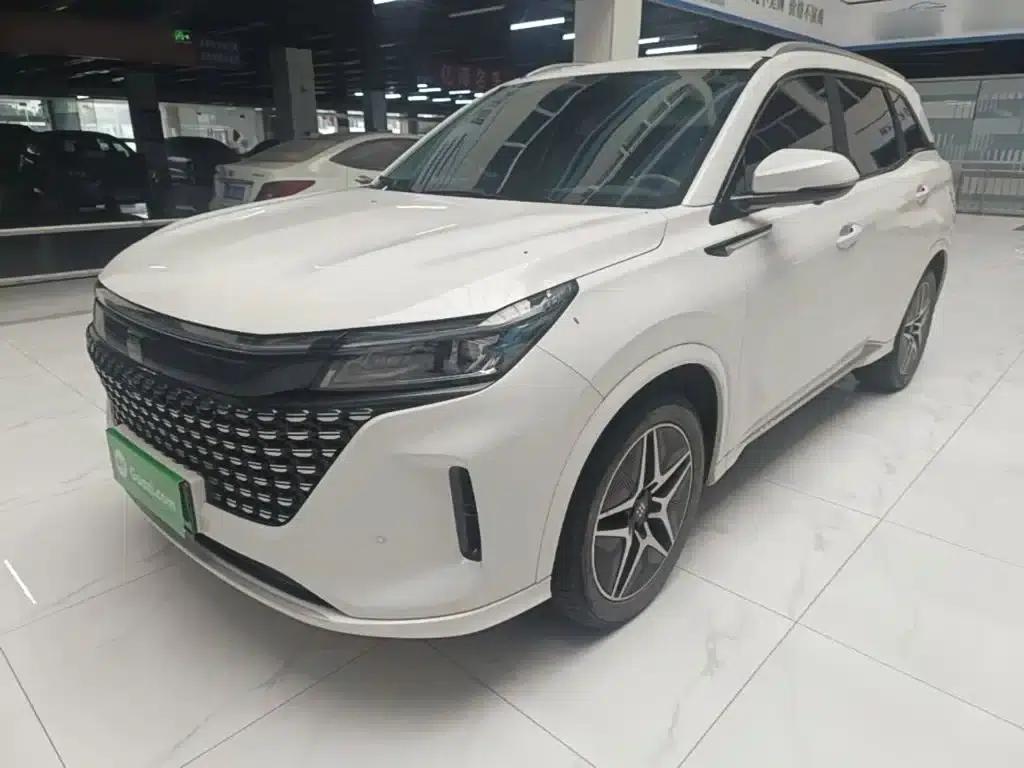 Blue Electric E5 2024 Glory Edition 100KM Premium 7-Seater — миниатюра 2