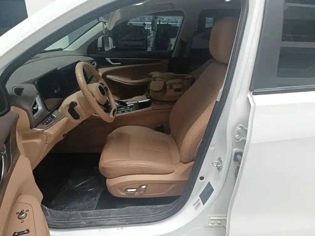 Blue Electric E5 2024 Glory Edition 100KM Premium 7-Seater — миниатюра 11