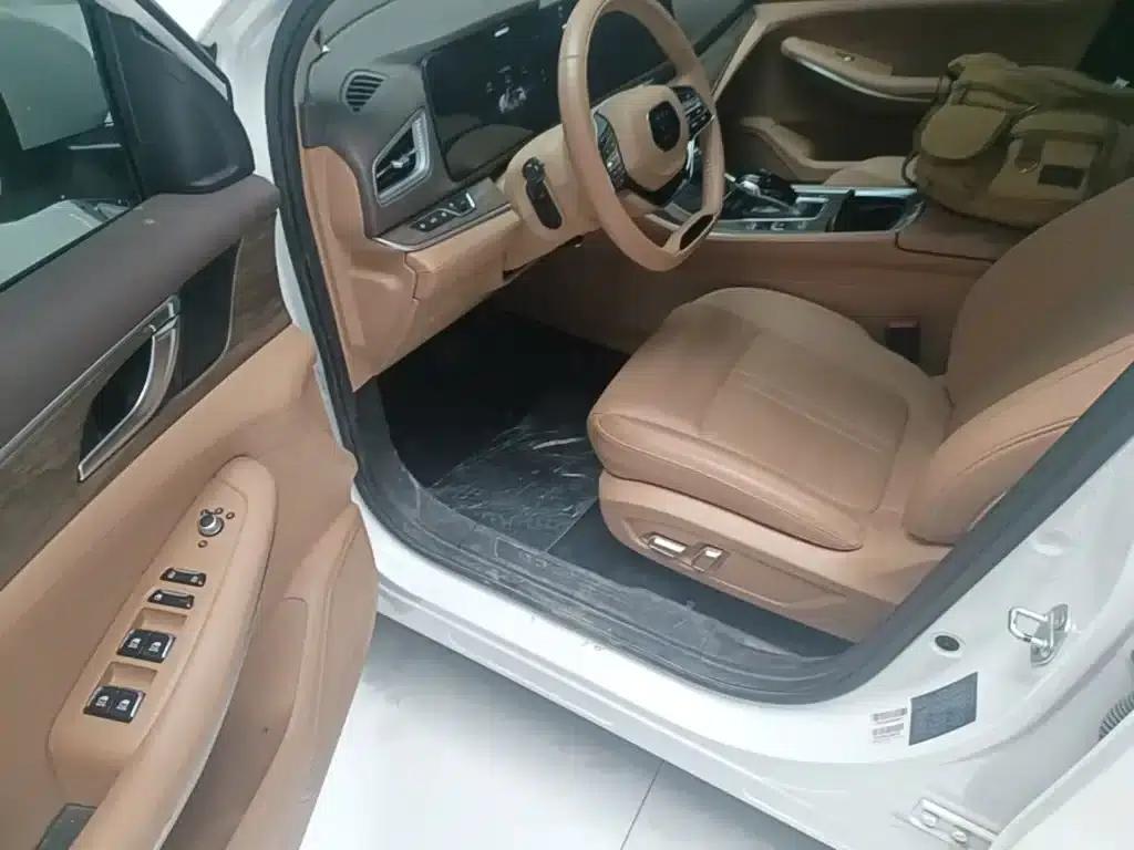 Blue Electric E5 2024 Glory Edition 100KM Premium 7-Seater — миниатюра 12