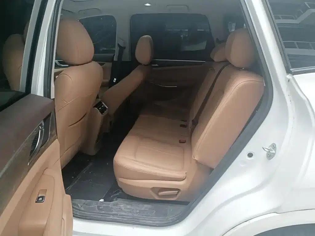 Blue Electric E5 2024 Glory Edition 100KM Premium 7-Seater — миниатюра 13