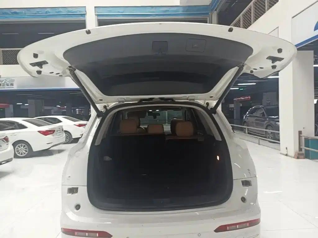 Blue Electric E5 2024 Glory Edition 100KM Premium 7-Seater — миниатюра 15