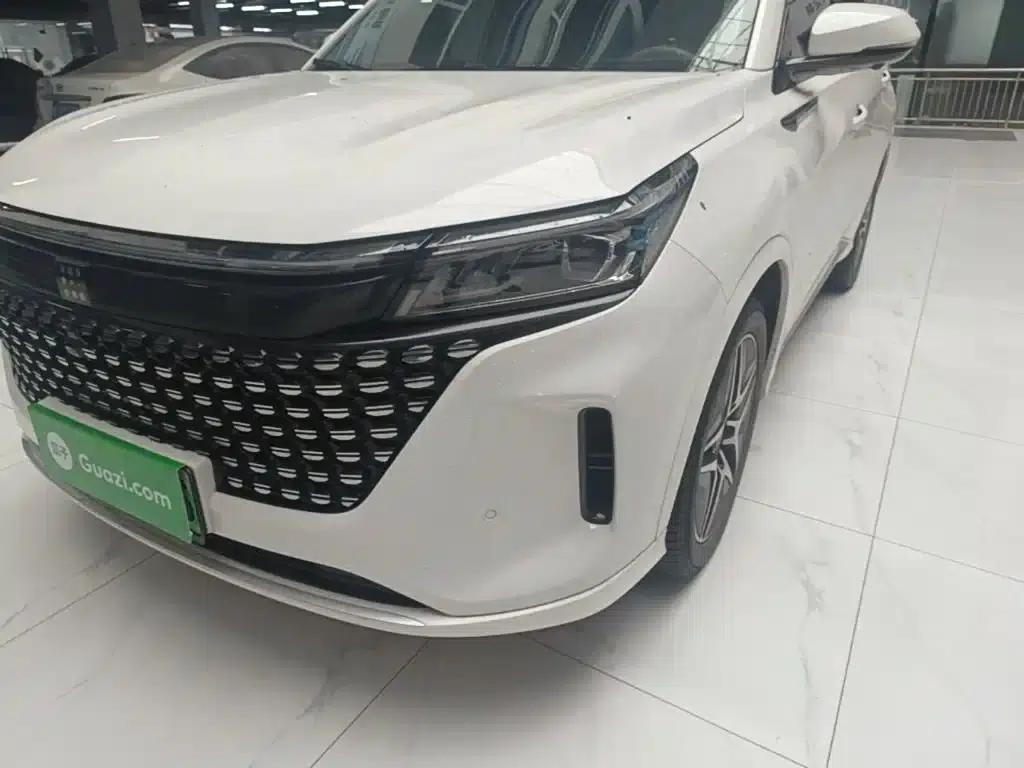 Blue Electric E5 2024 Glory Edition 100KM Premium 7-Seater — миниатюра 18