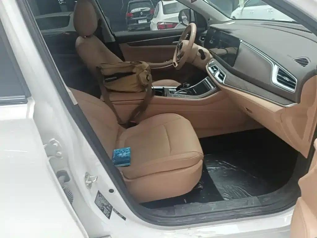 Blue Electric E5 2024 Glory Edition 100KM Premium 7-Seater — миниатюра 20