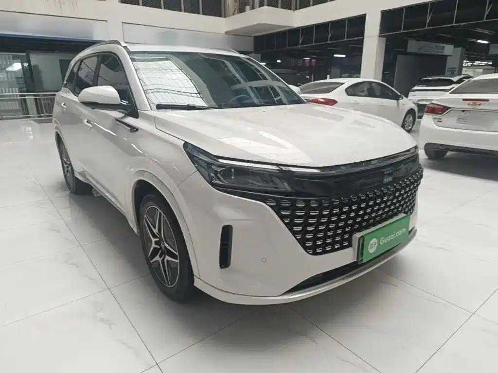 Blue Electric E5 2024 Glory Edition 100KM Premium 7-Seater — миниатюра 22