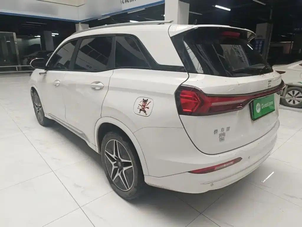 Blue Electric E5 2024 Glory Edition 100KM Premium 7-Seater — миниатюра 23