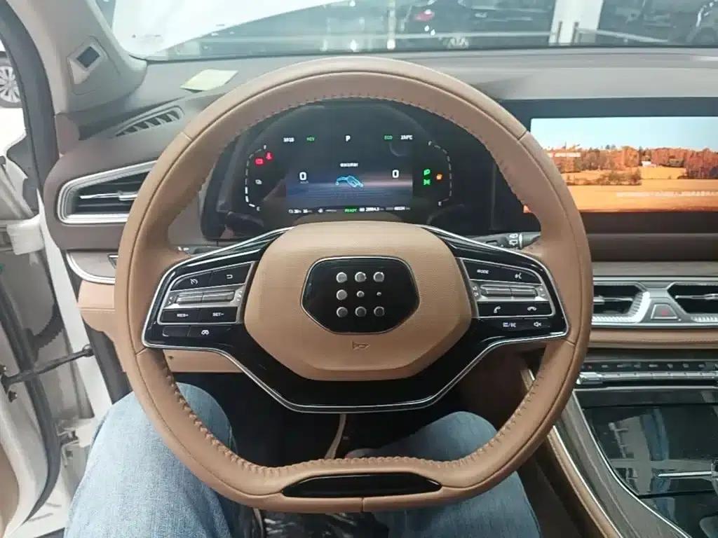 Blue Electric E5 2024 Glory Edition 100KM Premium 7-Seater — миниатюра 7