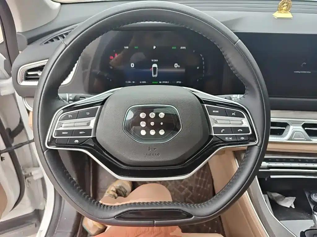 Blue Electric E5 2024 Glory Edition 100KM Premium 7-Seater — миниатюра 11