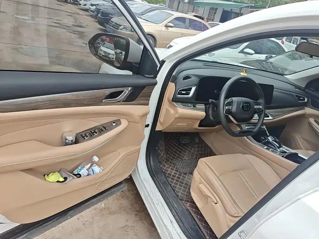 Blue Electric E5 2024 Glory Edition 100KM Premium 7-Seater — миниатюра 16