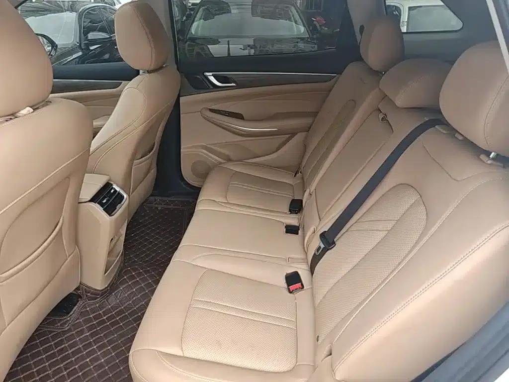 Blue Electric E5 2024 Glory Edition 100KM Premium 7-Seater — миниатюра 17