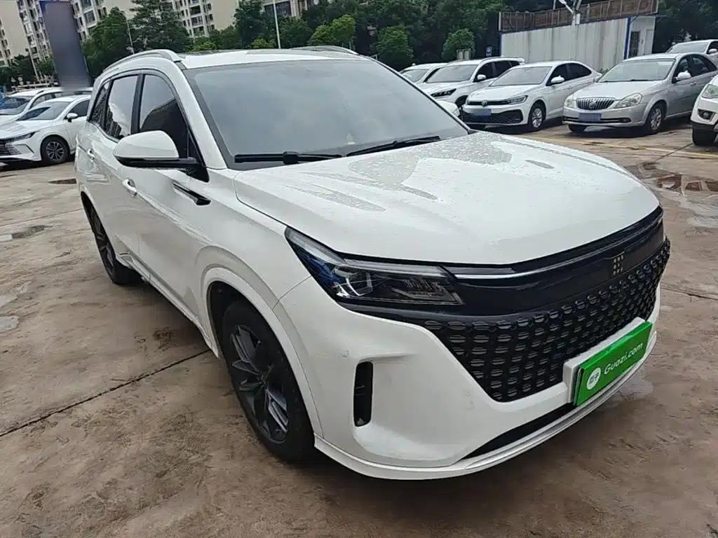 Blue Electric E5 2024 Glory Edition 100KM Premium 7-Seater — миниатюра 4
