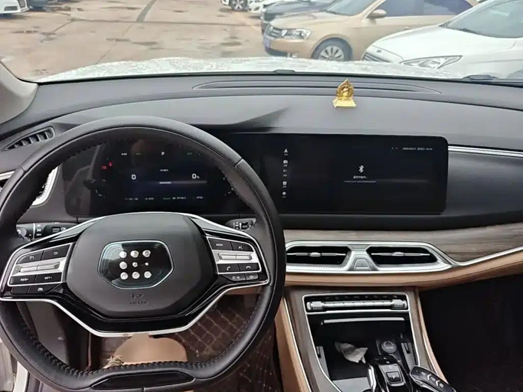 Blue Electric E5 2024 Glory Edition 100KM Premium 7-Seater — миниатюра 10