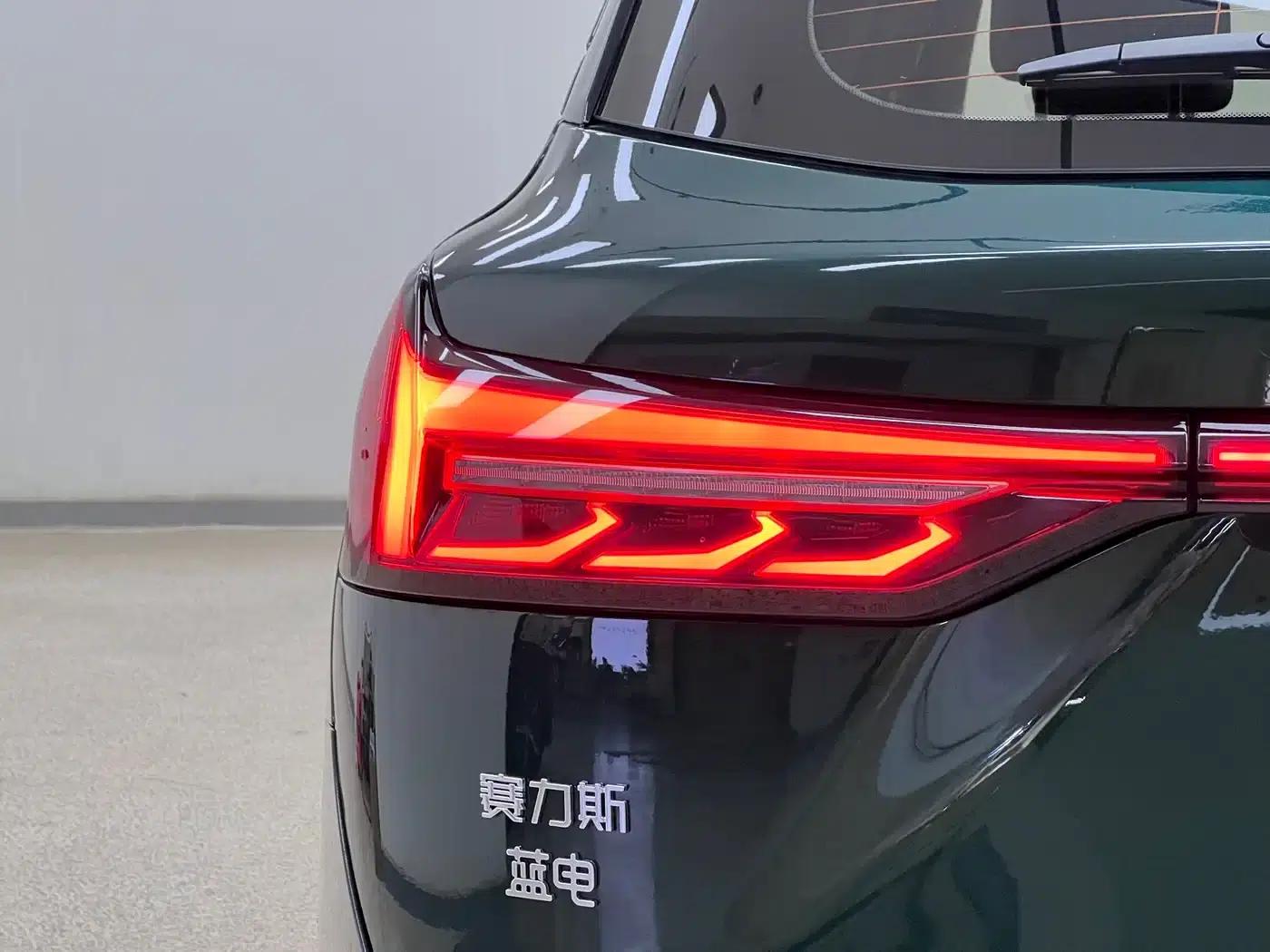 Blue Electric E5 PLUS 2025 Model 120km Standard Touring Custom Edition 7-Seater — миниатюра 11