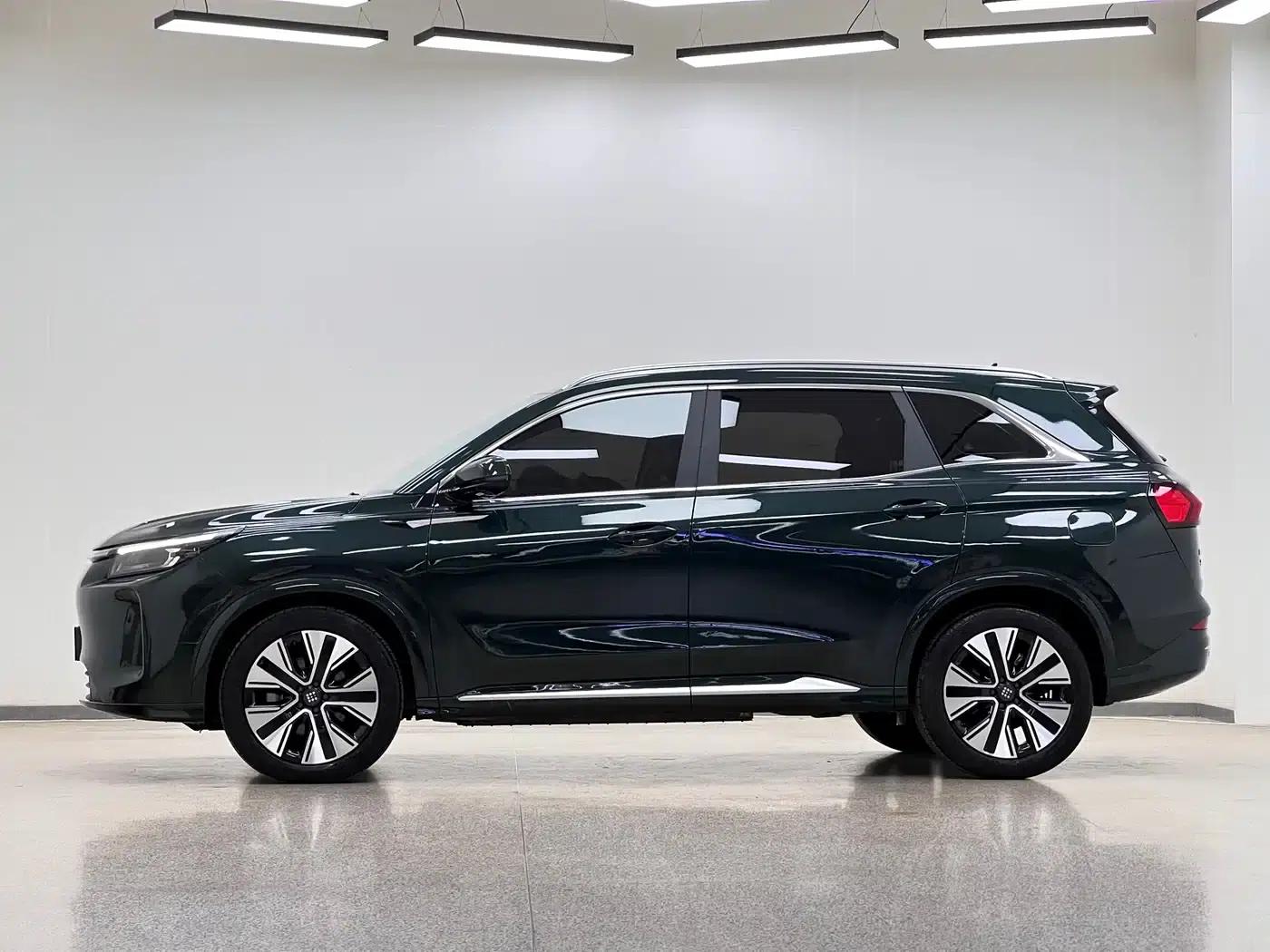 Blue Electric E5 PLUS 2025 Model 120km Standard Touring Custom Edition 7-Seater — миниатюра 4