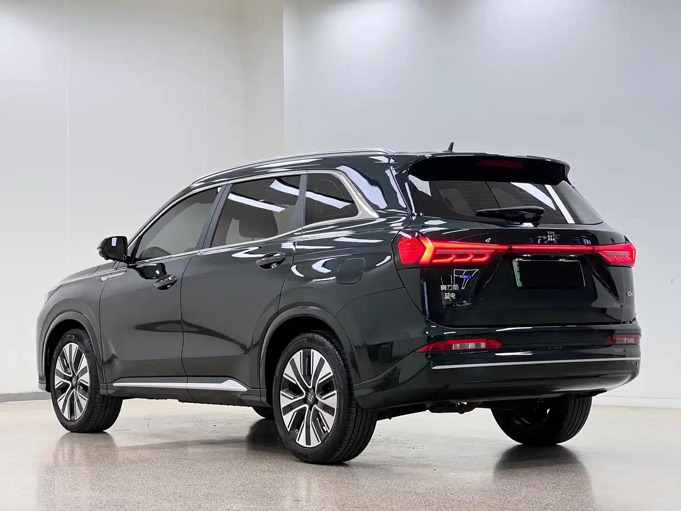 Blue Electric E5 PLUS 2025 Model 120km Standard Touring Custom Edition 7-Seater — миниатюра 5