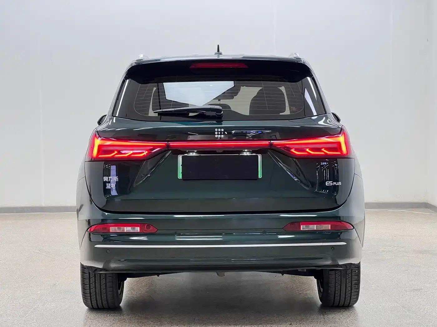 Blue Electric E5 PLUS 2025 Model 120km Standard Touring Custom Edition 7-Seater — миниатюра 6