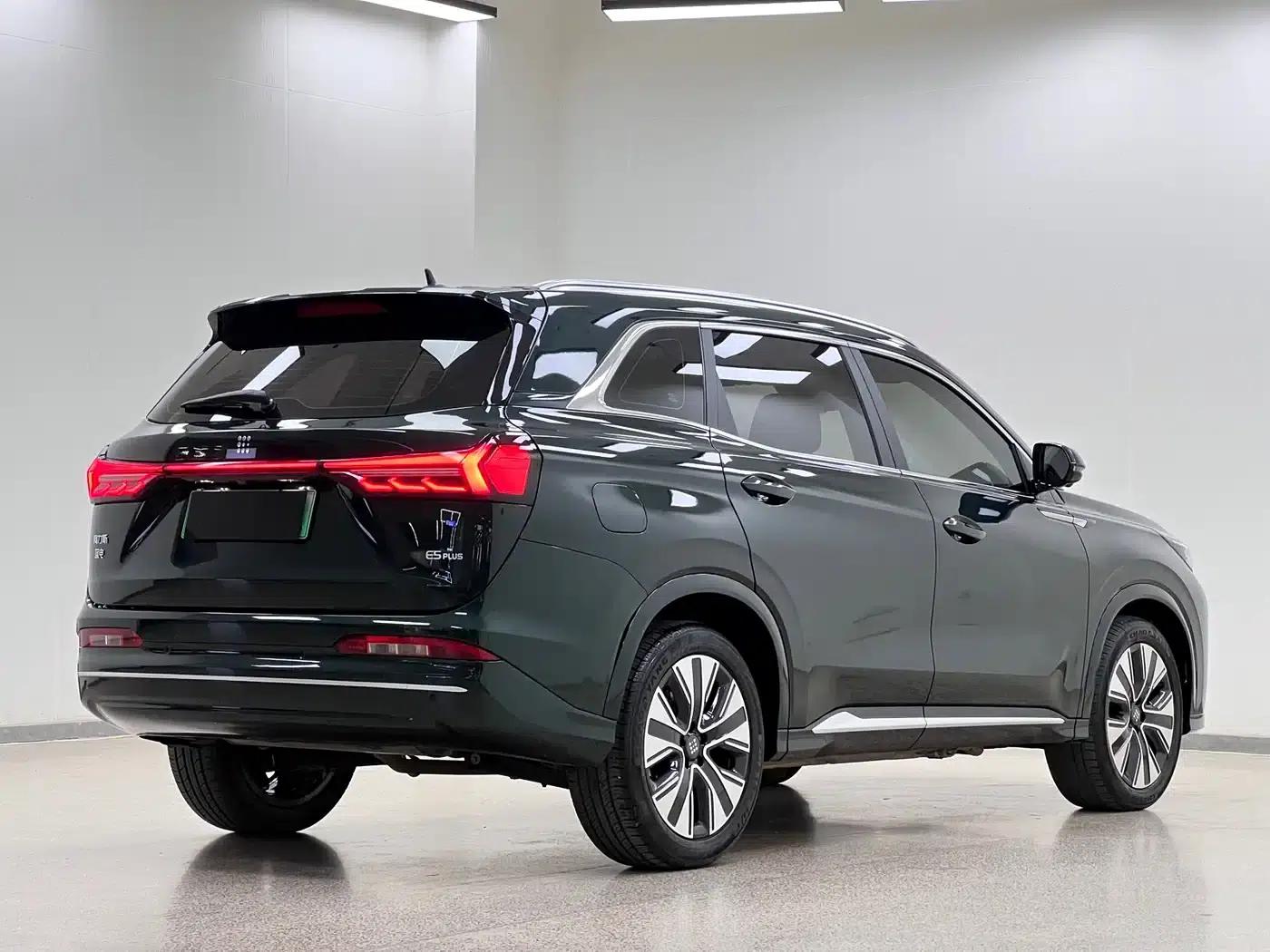 Blue Electric E5 PLUS 2025 Model 120km Standard Touring Custom Edition 7-Seater — миниатюра 7