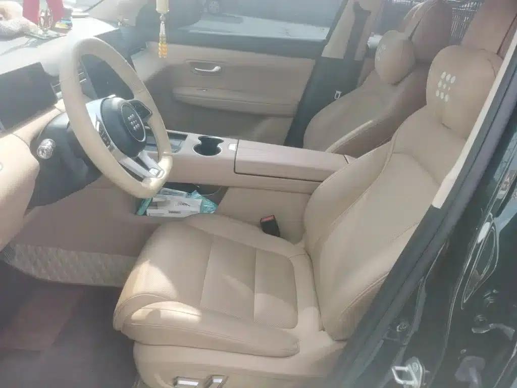 Blue Electric E5 PLUS 2025 Model, 165km Long Range Pro 5-Seater — миниатюра 11