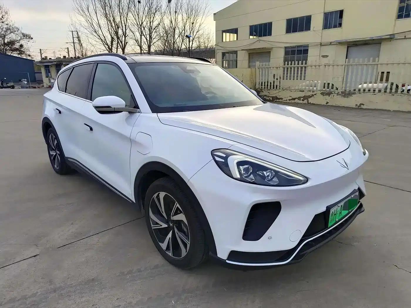 Jihu Alphard T 2023 480E Forest Edition 160kW — миниатюра 3