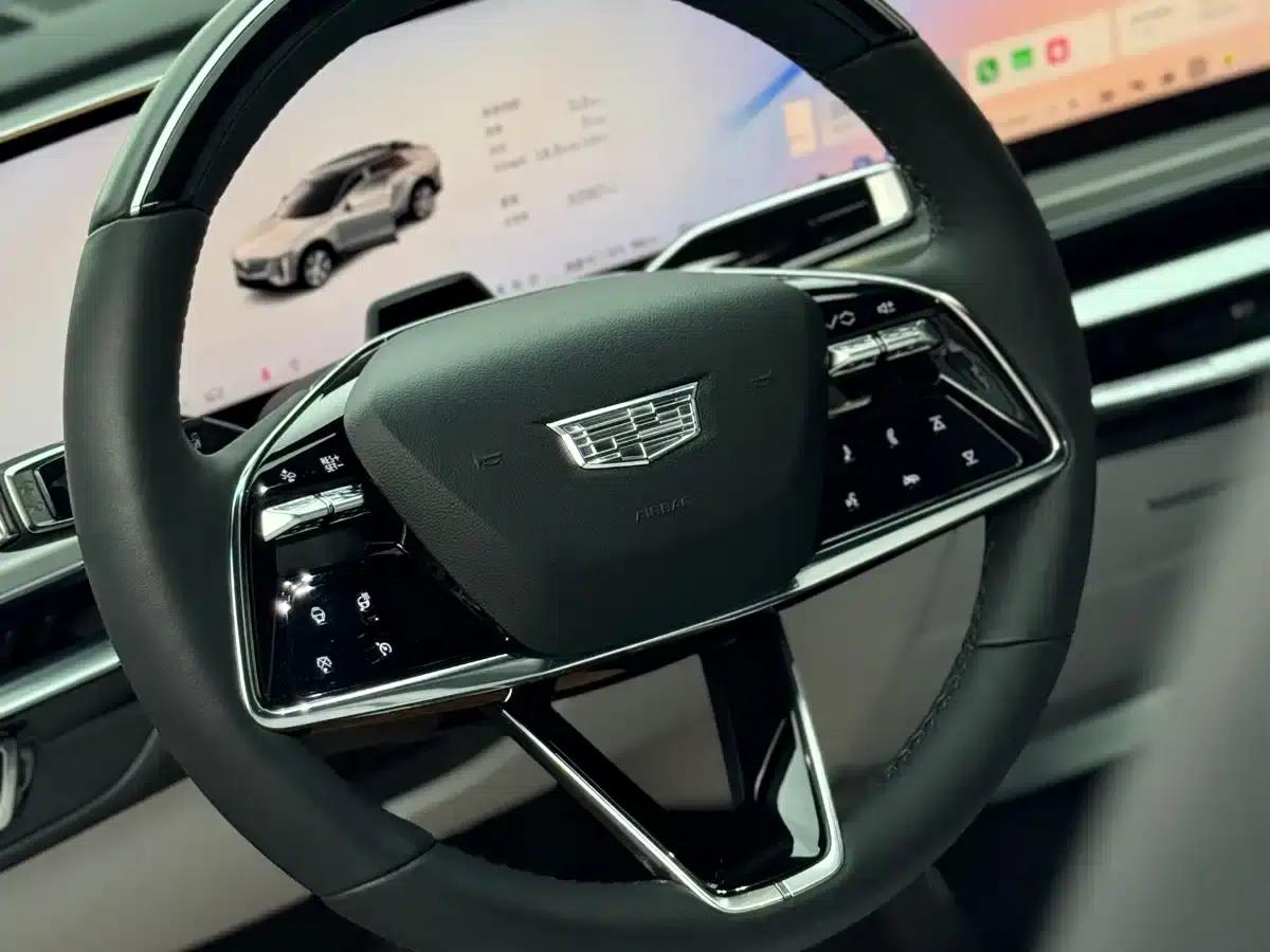 iQ Ruige 2022 Rear-Wheel Drive Long-Range Luxury Edition — миниатюра 17