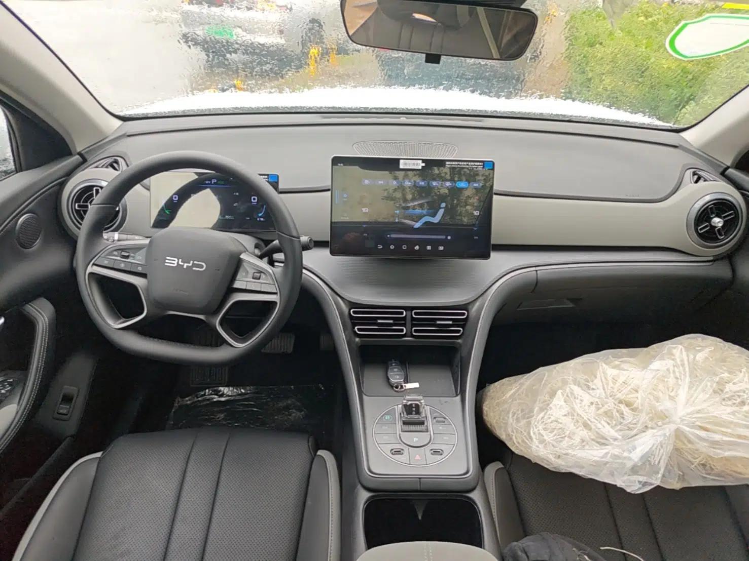 BYD Sealion 05 DM-i 2025 DM-i 75KM Prestige Model — миниатюра 12