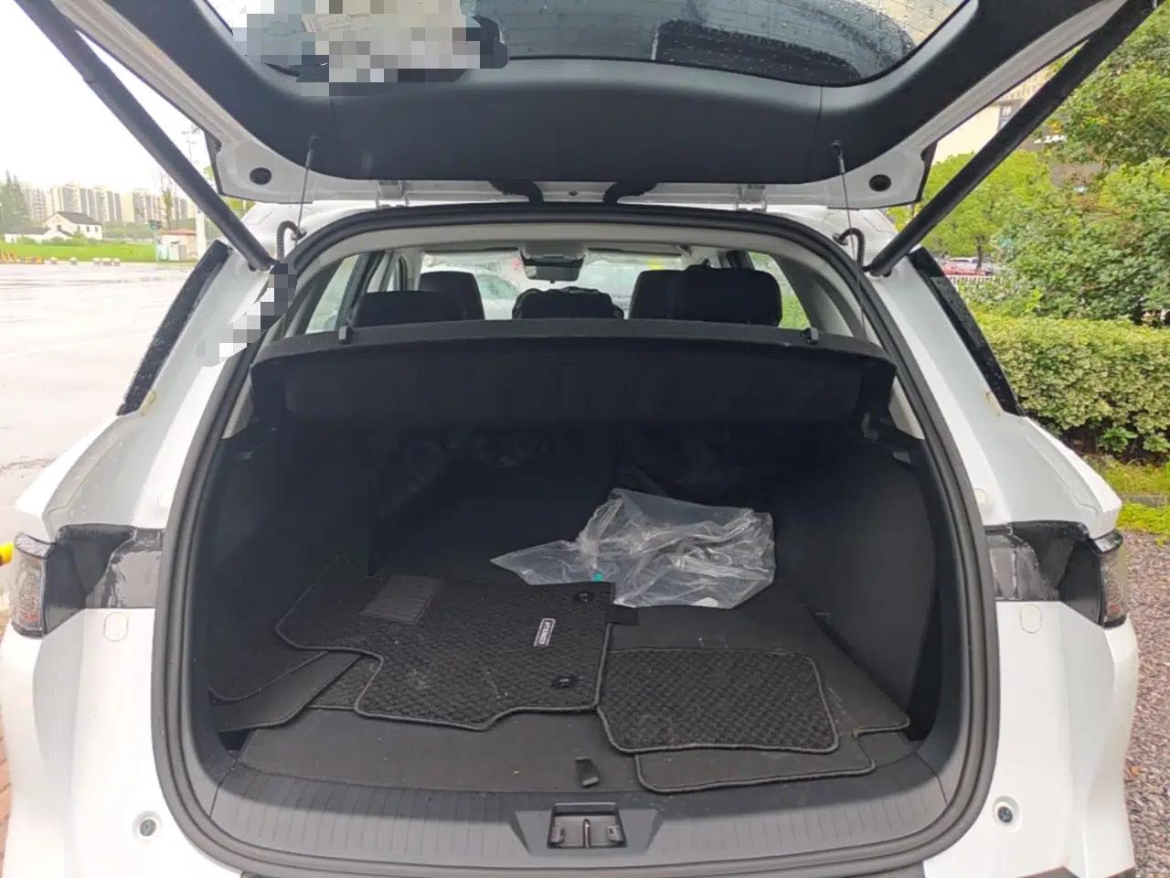 BYD Sealion 05 DM-i 2025 DM-i 75KM Prestige Model — миниатюра 22