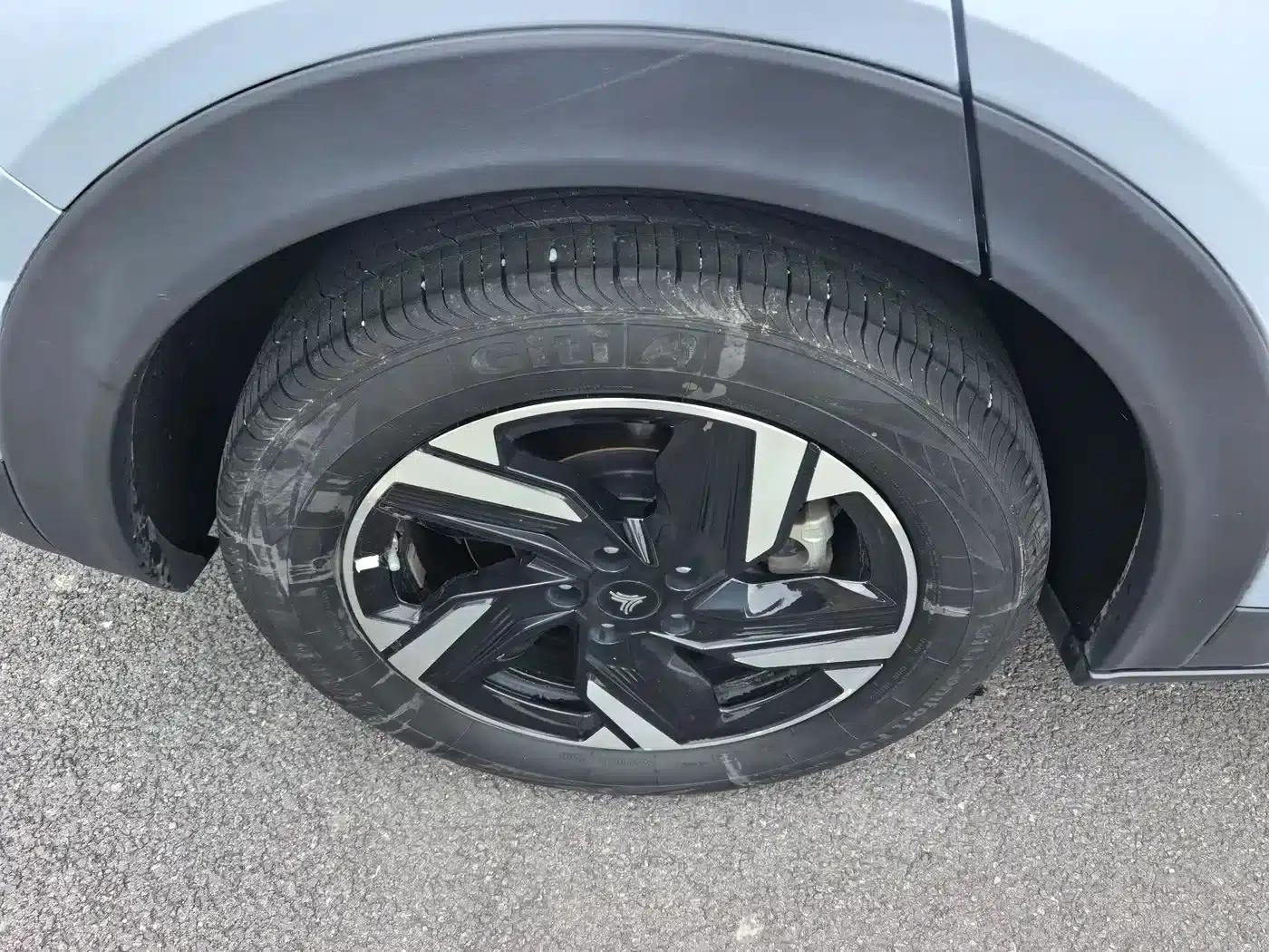 Nezha X 2025 500 Plus — миниатюра 19