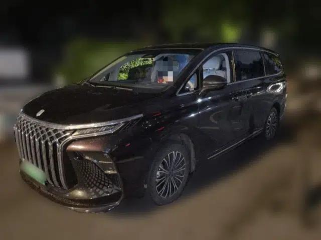 FORTHING Xinghai V9 2024 1.5TD 200km Chinese Knot Series Luxury Version