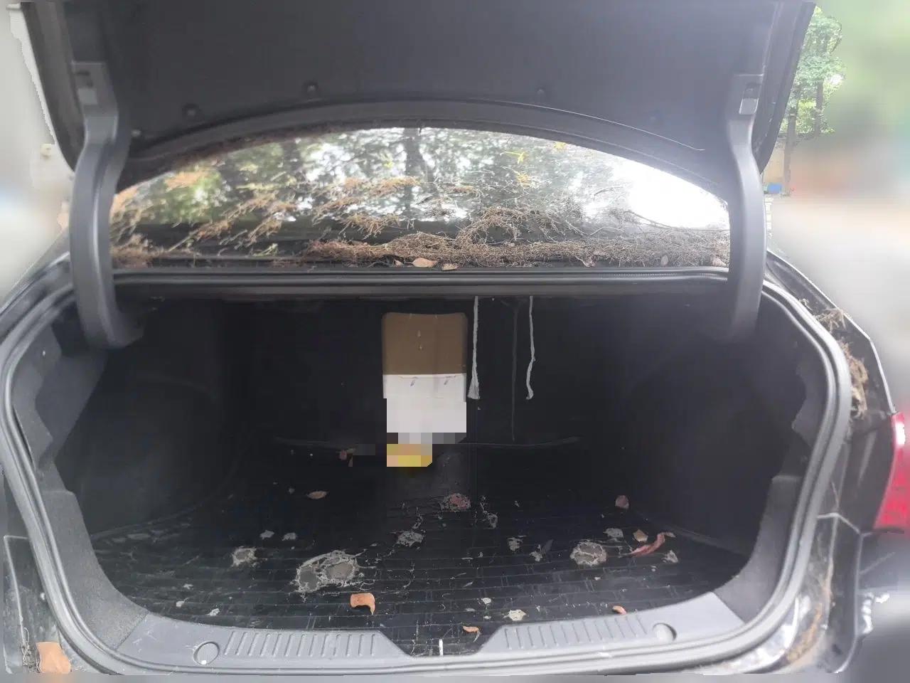 GAC Trumpchi GA6 2015 1.8T DCT Comfort Model — миниатюра 19