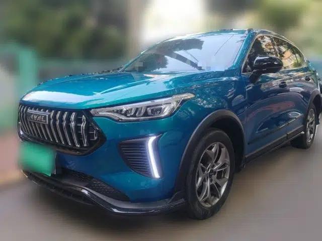 Haval LHERY 2022 Jingxiang Edition 1.5T Copper Rabbit