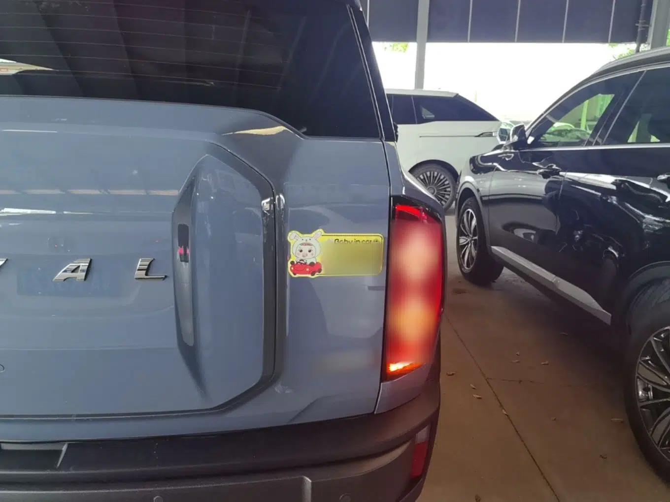 Haval X DOG 2022 1.5T DCT Two-Wheel Drive Trendy Edition — миниатюра 9