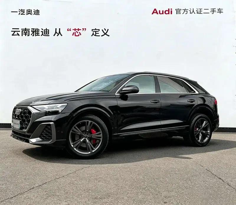 Audi Q8 2024 55 TFSI Luxury Dynamic — миниатюра 1