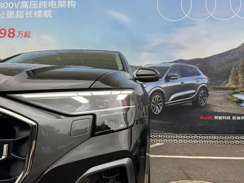 Audi Q8 2024 55 TFSI Luxury Dynamic — миниатюра 11
