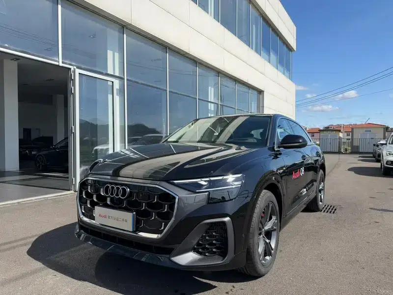 Audi Q8 2024 55 TFSI Luxury Dynamic — миниатюра 1