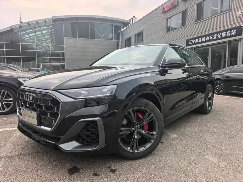 Audi Q8 2024 55 TFSI Luxury Dynamic — миниатюра 1
