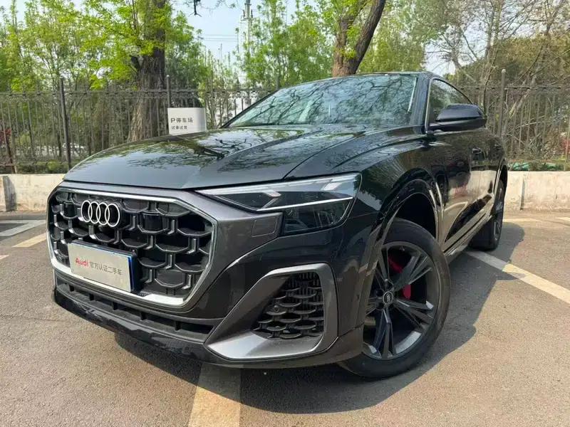 Audi Q8 2024 55 TFSI Luxury Dynamic — миниатюра 1