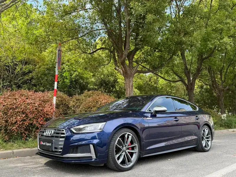 2017 Audi S5 3.0T Sportback — миниатюра 1