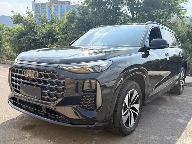 Audi Q6 2023 40TFSI quattro Cloud View Edition Feather Package