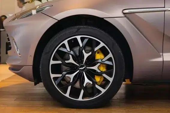 Aston Martin DBX 2021 4.0T V8 Silk Road Edition — миниатюра 7