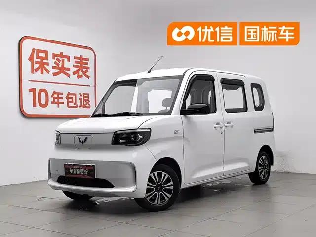 Wuling Sunshine New Energy 2025 Model 201km Standard Edition