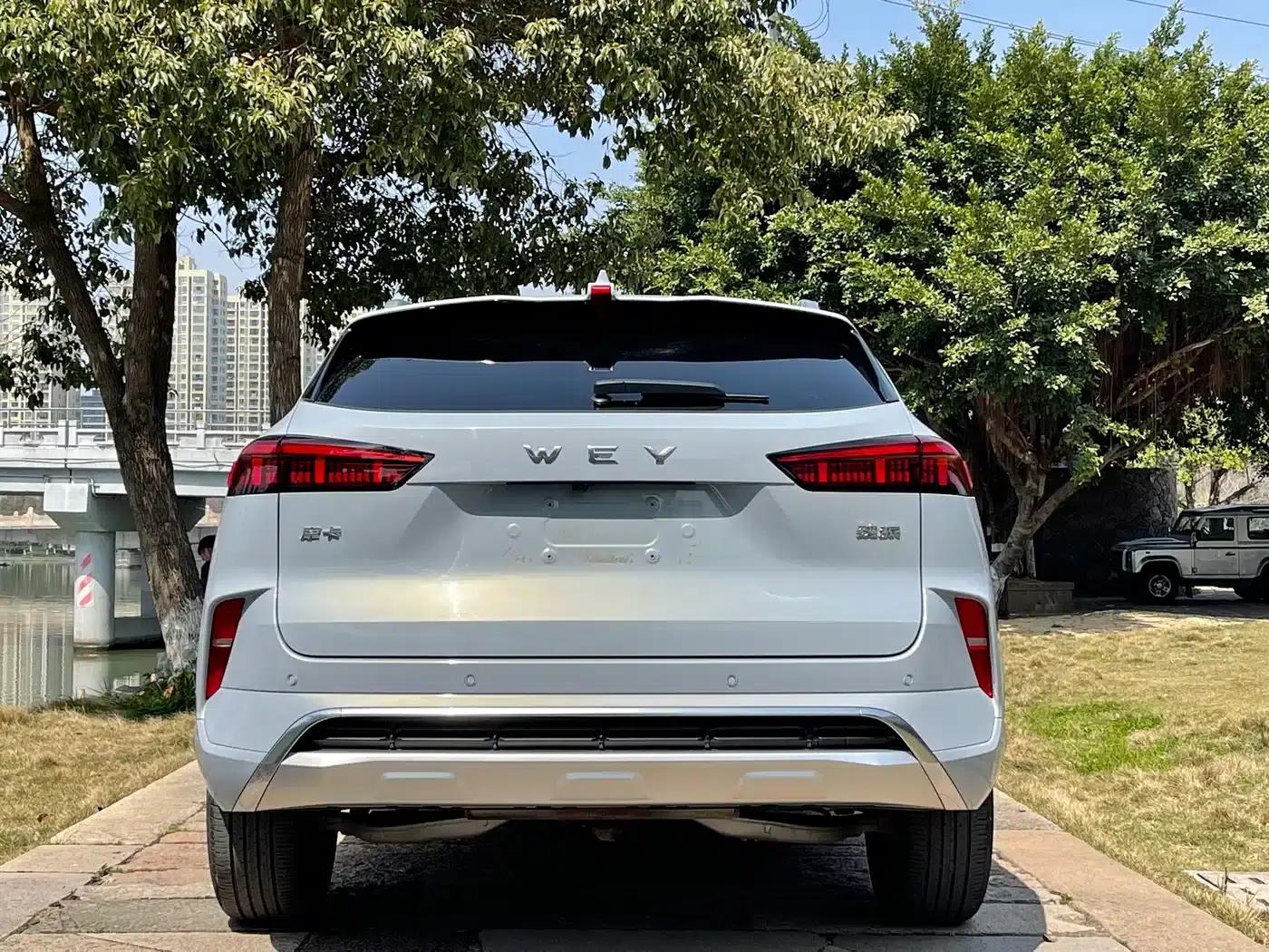 Wei brand Mocha 2021 2.0T 2WD Extra Rich Edition — миниатюра 13