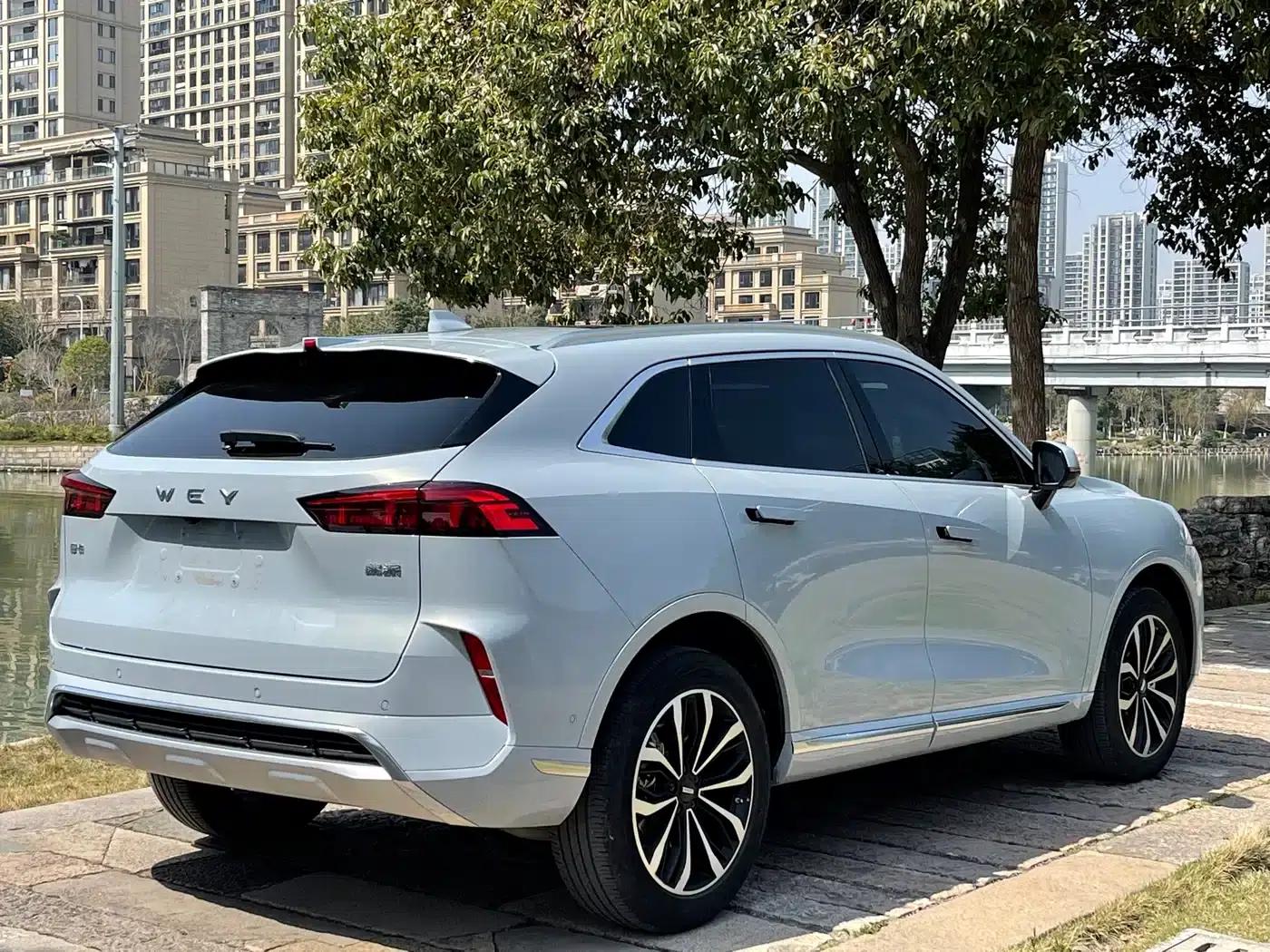 Wei brand Mocha 2021 2.0T 2WD Extra Rich Edition — миниатюра 14