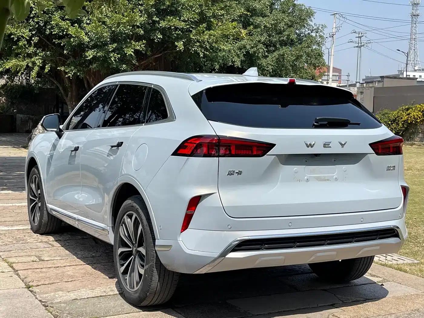 Wei brand Mocha 2021 2.0T 2WD Extra Rich Edition — миниатюра 15