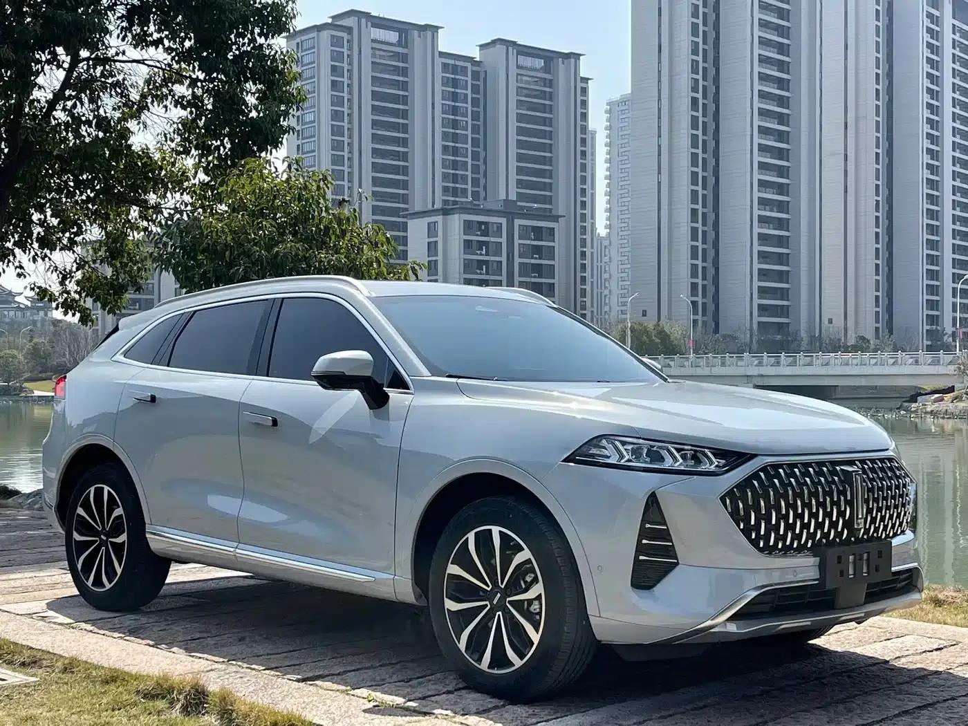 Wei brand Mocha 2021 2.0T 2WD Extra Rich Edition — миниатюра 3