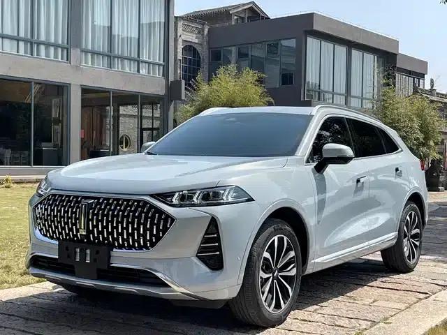 Wei brand Mocha 2021 2.0T 2WD Extra Rich Edition